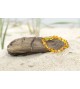 Amber baby Bracelets Polished Honey