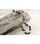 Amber Adult necklace Baroque Polished 3 Cherry-Lemon