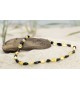 Amber Baby necklace Bean Polished Cherry-Lemon