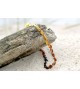 Amber Adult necklace Bean Polished Rainbow